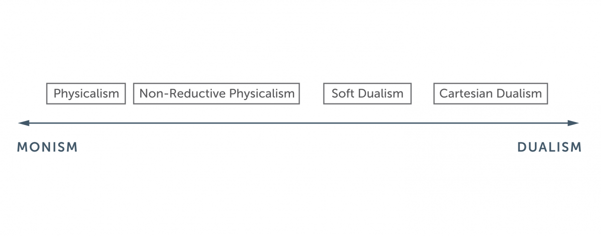 anthropology chart